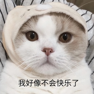 笑话十条：从小区出来走到一35度斜坡遇到一只狗狗