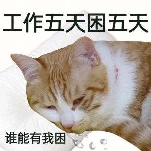笑话十条：女儿是小棉袄，那儿子是什么？
