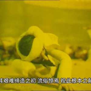 历史解说:法俄革命之比较观#知识前沿派对