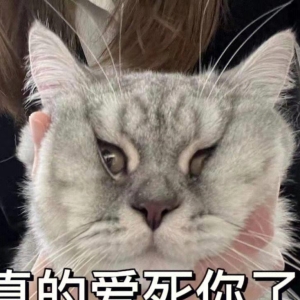 笑话十条：儿子看着盘子里的凉拌黄瓜，问我黄瓜的名字是怎么来的