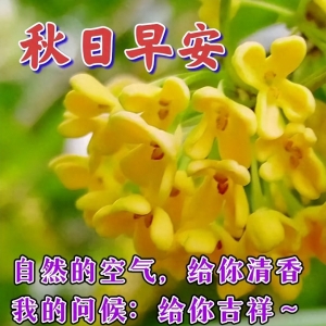 2023年10月5日早上好温馨祝福语，早安唯美问候图片