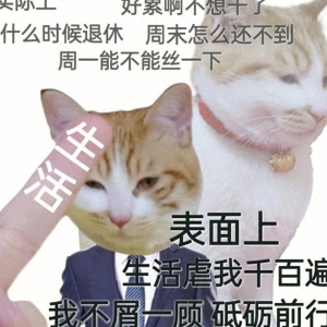 十个爆笑笑话！