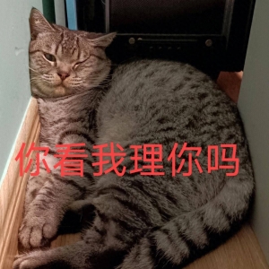 笑话十条：第一次和女网友见面，吃饭的时候我故意灌她酒