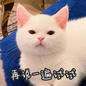 “笑破肚皮！快来听这十条爆笑笑话！”