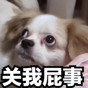 笑话十条：早知道会这样，当初我应该贷款结婚！