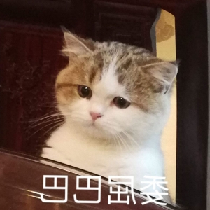 搞笑趣事：欢乐笑话集锦