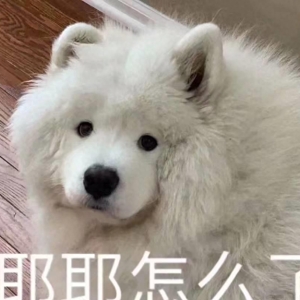 超级好玩！10个让你笑喷的笑话！