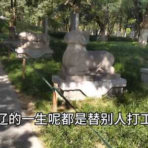 曹魏大将张辽的墓为什么在合肥？#三国历史解说