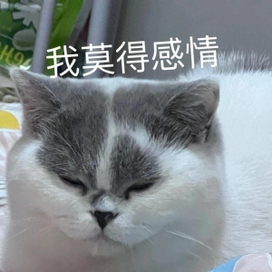 十条最搞笑的笑话，看了让你笑到瘫！