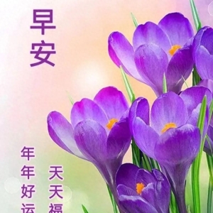 9月26日星期二早上好，群发亲友温馨祝福语大全，愿大家健康快乐