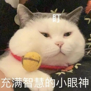 笑话十则，让我们一起放松心情，享受一下轻松的时刻。