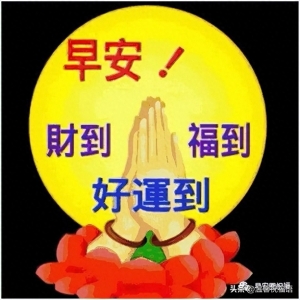 ​免打字适合群发早安问候祝福语漂亮图片带字，温馨早上好问候语