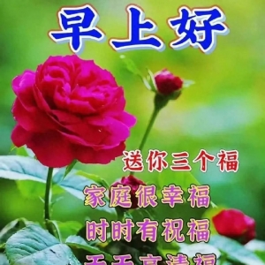 早上好朋友，适合微信群发早安祝福亲友的问候语图片带字