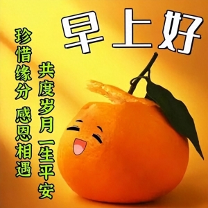 2023唯美早上好祝福表情包，清晨祝福万事顺，短信问候送安康