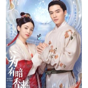 为有暗香来电视剧经典语录台词，为有暗香来电视剧台词