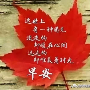 早上好朋友，非常漂亮的表情包图片带字精选早安暖心的问候祝福语