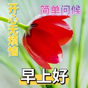 今天清晨祝福早上好经典语录，愿你平安幸福每一天，早安