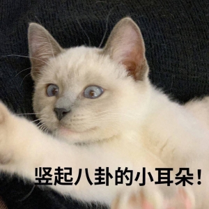 笑话十条：今天是周五，老子要一直拖，一直拖，拖到下班