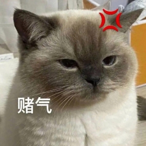 十条超幽默笑话，爆笑不止！