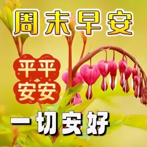 暖心的早上好问候语，用一句温暖的早上好，为我们新的一天启航