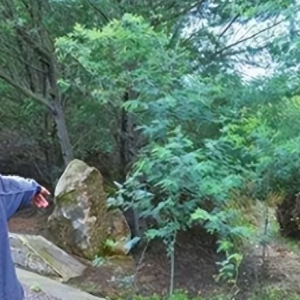 奇闻故事：诡异的惊马槽，动物不敢进入，揭秘“阴兵借道”的传说