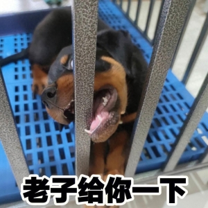 爆笑糗事！憋不住放了响屁，尴尬瞬间来袭！