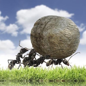 众人拾柴火焰高，互帮互助走得远，团结就是力量，团结取得胜利的励志句子