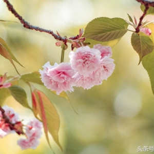 这才是生活（好文）