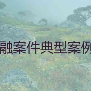 经典金融投资诈骗典型案例分析，7个金融案件典型案例