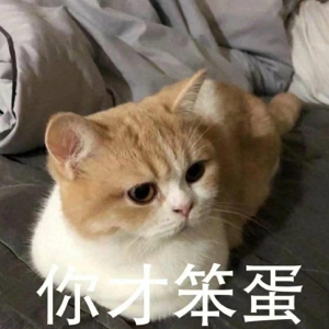 10条超级搞笑笑话，让你笑到肚子疼！