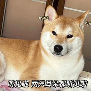 原创笑话十条：中学时我留的短发，经常被人认错是男孩