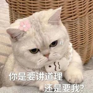 笑话十条：闺女自从学习跆拳道以来总喜欢找小朋友一起切磋