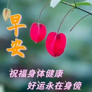最新早上好日常祝福语，早晨好问候语，祝福一切顺利