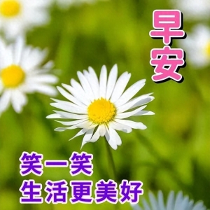 最新暖心早上好祝福语精选，情义永相伴，快乐每一天