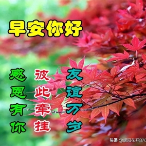 最新早安问候语精选，清晨暖心祝福语，事事顺心，快乐相随！