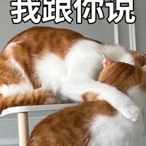 让人捧腹大笑的十则笑话