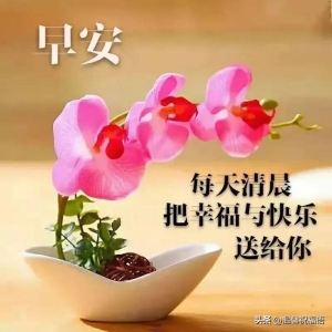 2023年10月17日周二早上好 最新版唯美好看祝福语图片带字问候短句