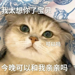 笑话十条：你要是能追到我妹妹，老子就跟你姓！