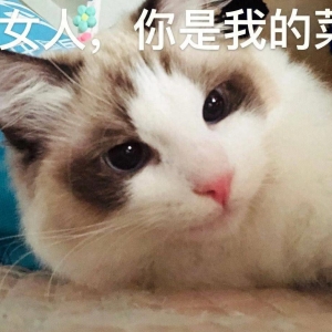 10条经典笑话：学校食堂的包子特别好吃，于是每次都要帮舍友带