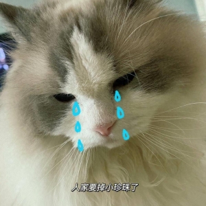 十大原创笑话：我看他们打猴子，我比他们开心多了！