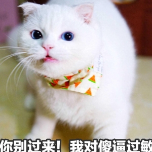 原创笑话十条：爸，除了我，你还有其他女儿吗？