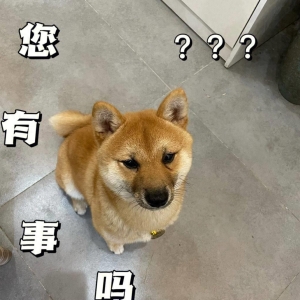 十条超搞笑笑话，让你笑到停不下来！