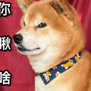 笑话十个：小时候哭闹了一整晚