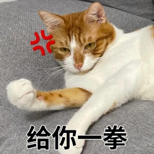 笑话十条：大学生的奇葩饭事，笑翻你！