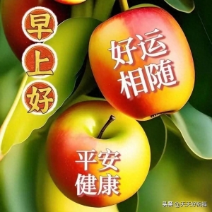 免打字早安祝福朋友暖心的问候语图片带字 温馨群发精选早上好短句