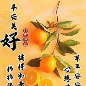 2023年10月31日星期二早上好，群发亲友温馨问候祝福语大全