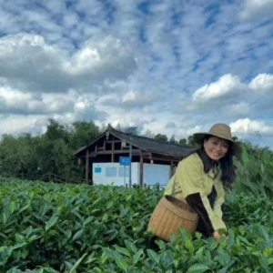 北大女孩创业回藏区丨探秘卓玛的励志故事！