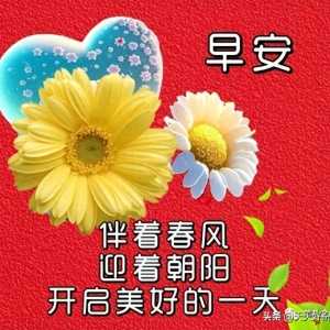 11月1日微信问候朋友的早上好祝福短信 漂亮早上好问候语图片带字