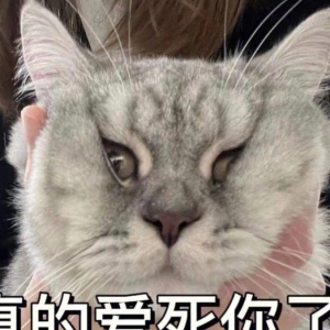 笑话十条：表哥摊事了，上幼儿园的大侄子，新交了个小女友