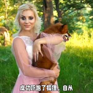 儿童睡前童话故事11《母鸡害怕老鼠跳草垛引发笑话》